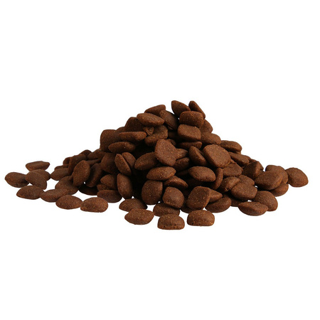 FITMIN For Life Ενηλίκων μεγάλων φυλών 12kg 